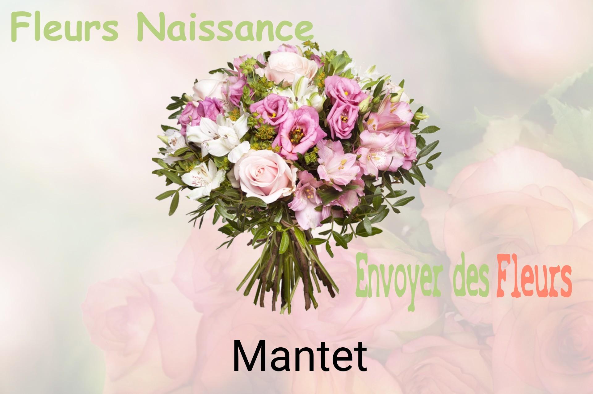 Bouquet de fleurs de naissance livré à Mantet