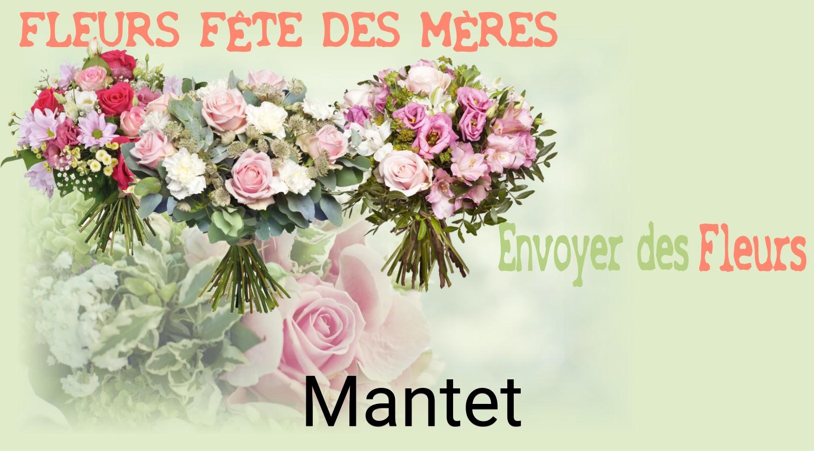 Bouquet de Fête des Mères livré à Mantet